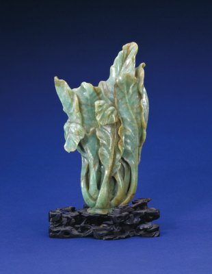 Jade cabbage type flower