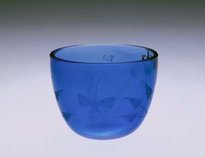 Blue butterfly pattern flowers feed cup
