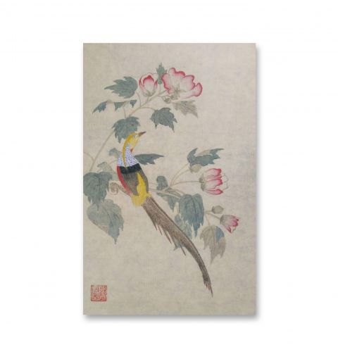 怀风中国画：锦鸡芙蓉图