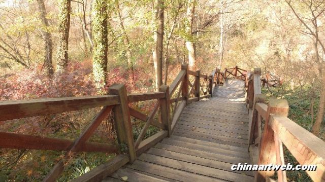 栖霞寺红叶节风光摄影 10