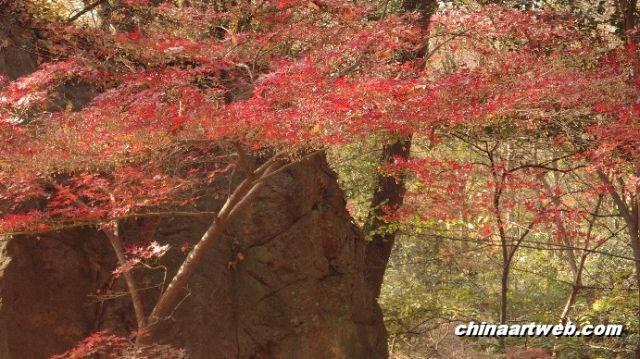 栖霞寺红叶节风光摄影 30